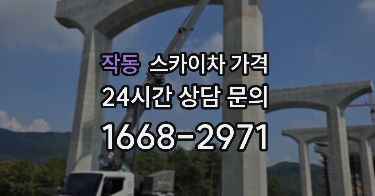 작동 스카이차 가격