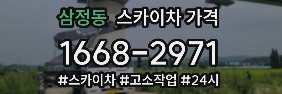 삼정동 스카이차 가격