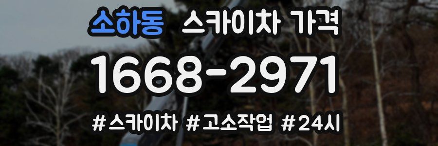 소하동 스카이차 가격