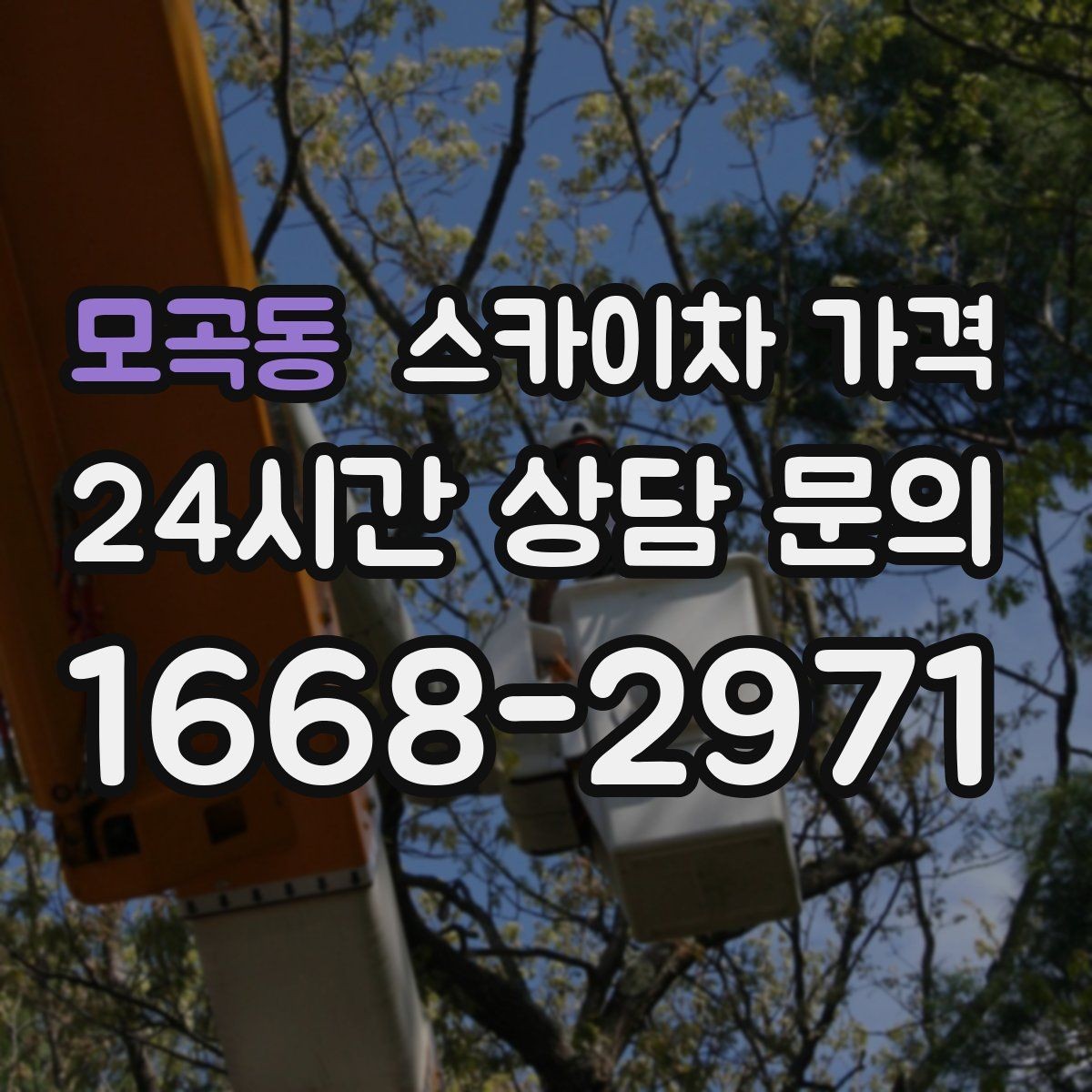 모곡동 스카이차 가격 급하면 당일도 가능할까 현실적인 기준