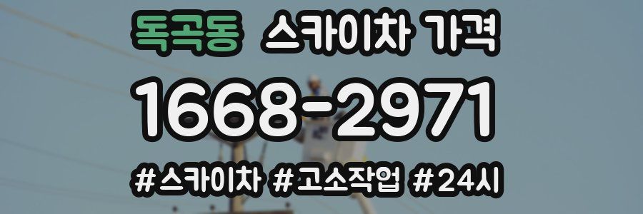 독곡동 스카이차 가격