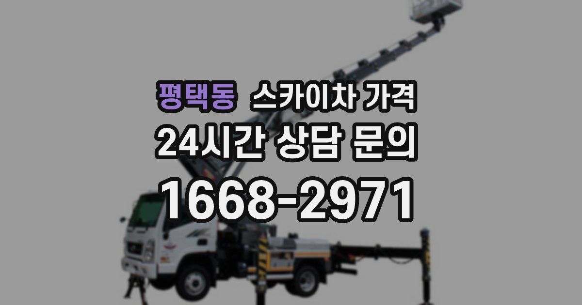 평택동 스카이차 가격