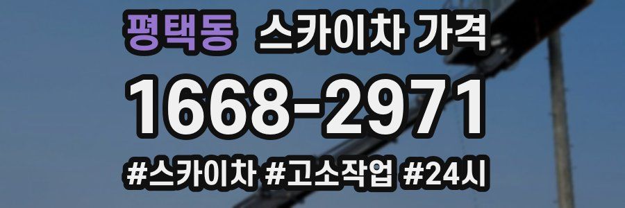 평택동 스카이차 가격