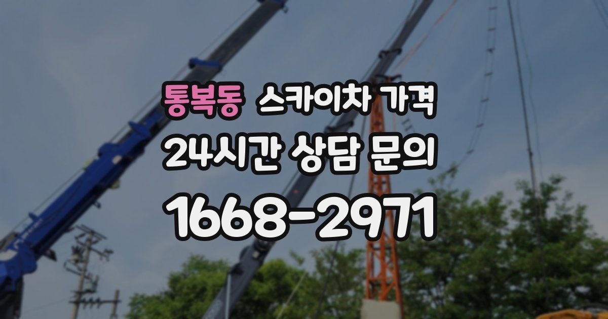 통복동 스카이차 가격