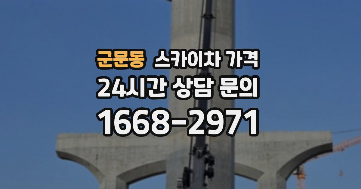 군문동 스카이차 가격