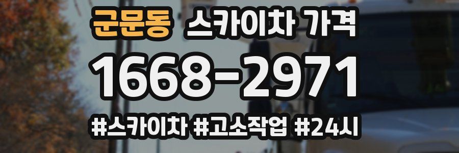 군문동 스카이차 가격