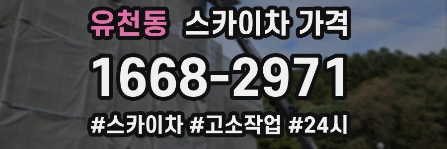 유천동 스카이차 가격