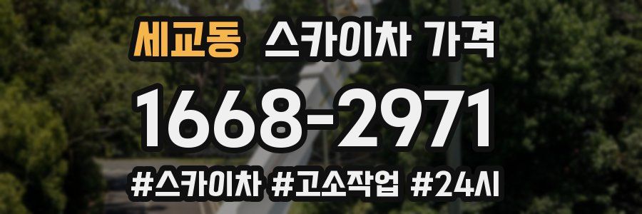 세교동 스카이차 가격