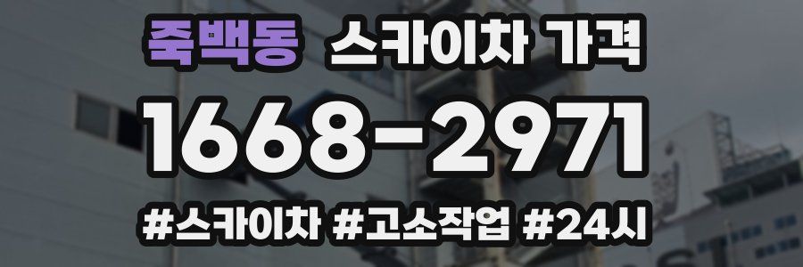 죽백동 스카이차 가격