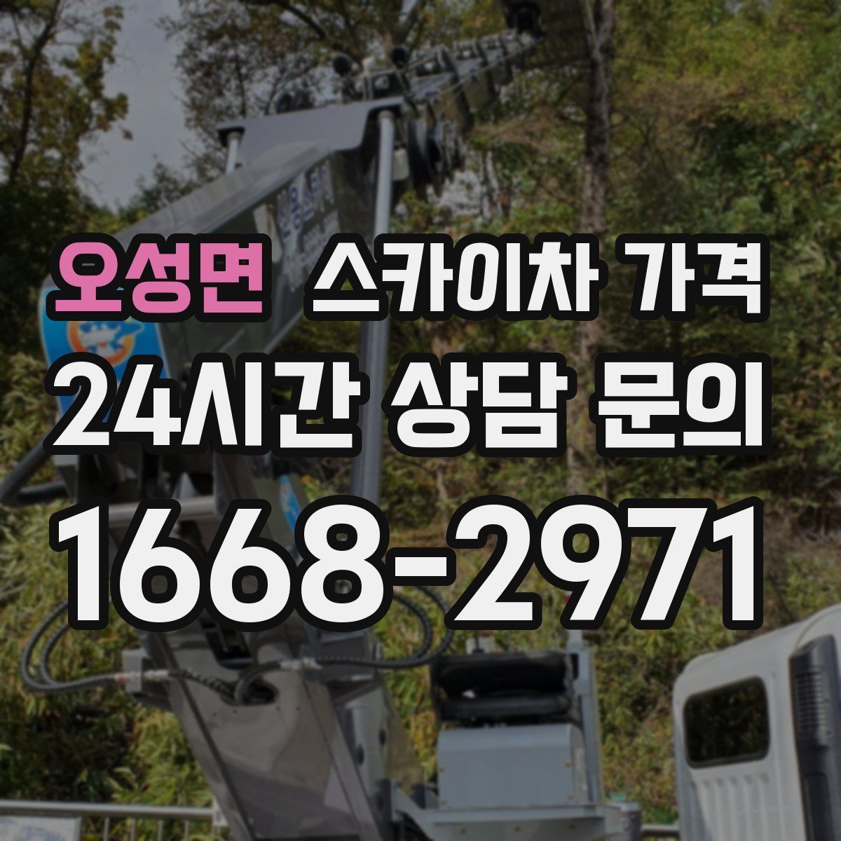 오성면 스카이차 가격