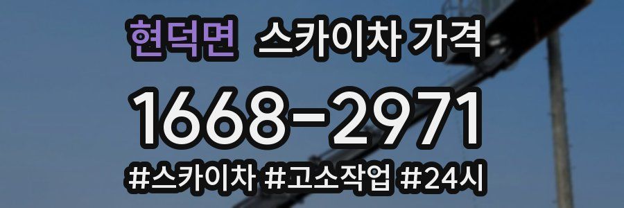 현덕면 스카이차 가격