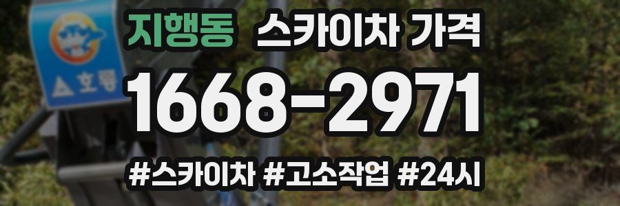 지행동 스카이차 가격