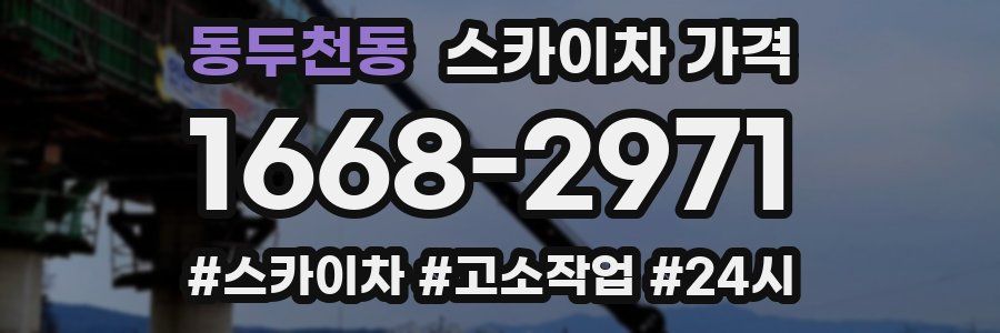 동두천동 스카이차 가격