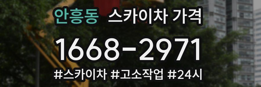 안흥동 스카이차 가격