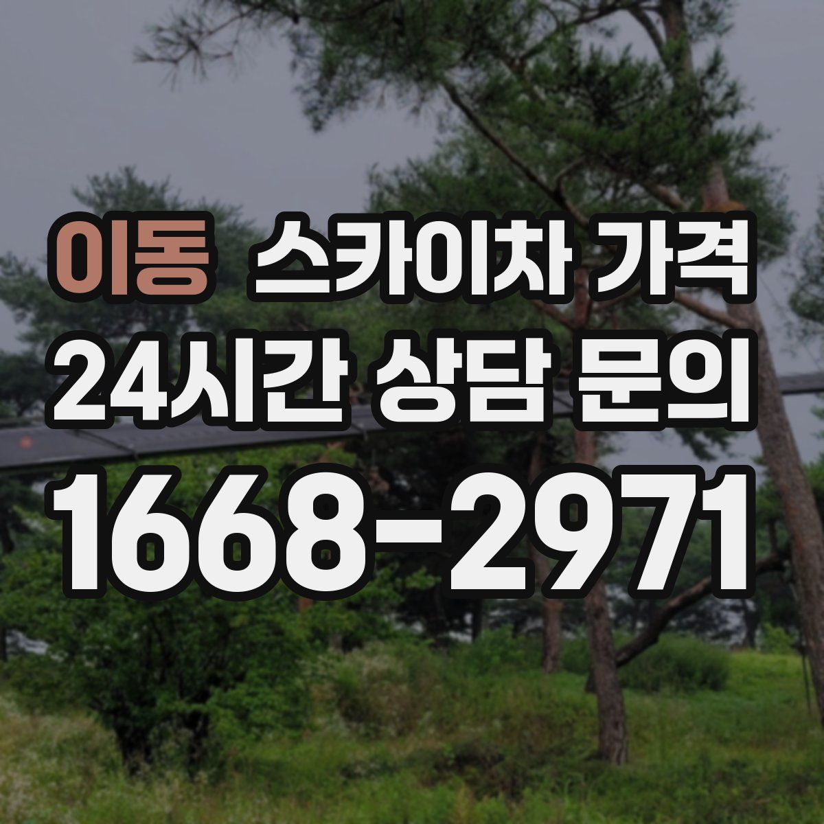 이동 스카이차 가격