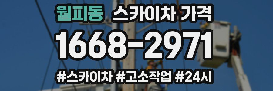 월피동 스카이차 가격