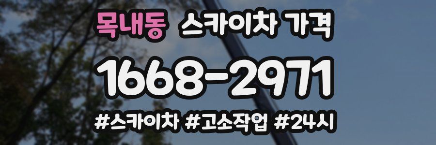 목내동 스카이차 가격