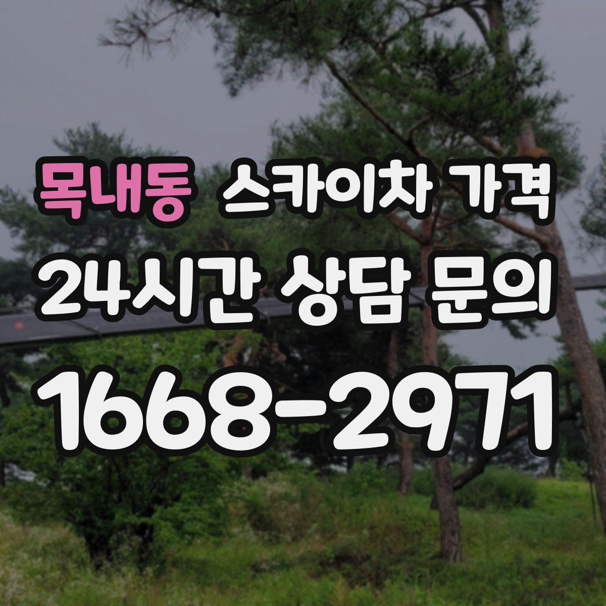 목내동 스카이차 가격