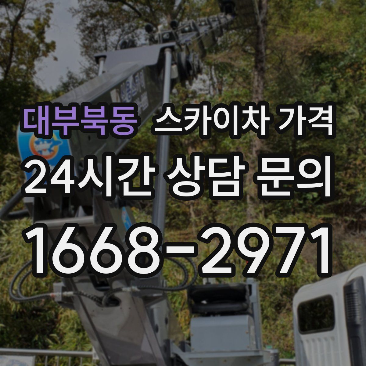 대부북동 스카이차 가격