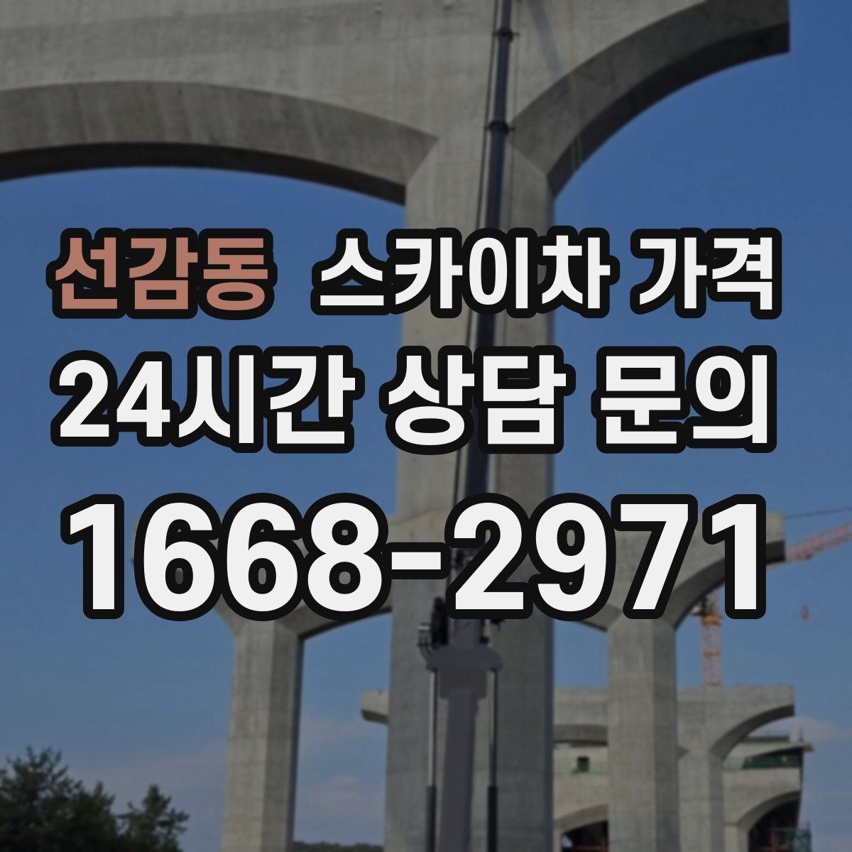 선감동 스카이차 가격 '포함' 항목을 먼저 확인해야 하는 이유