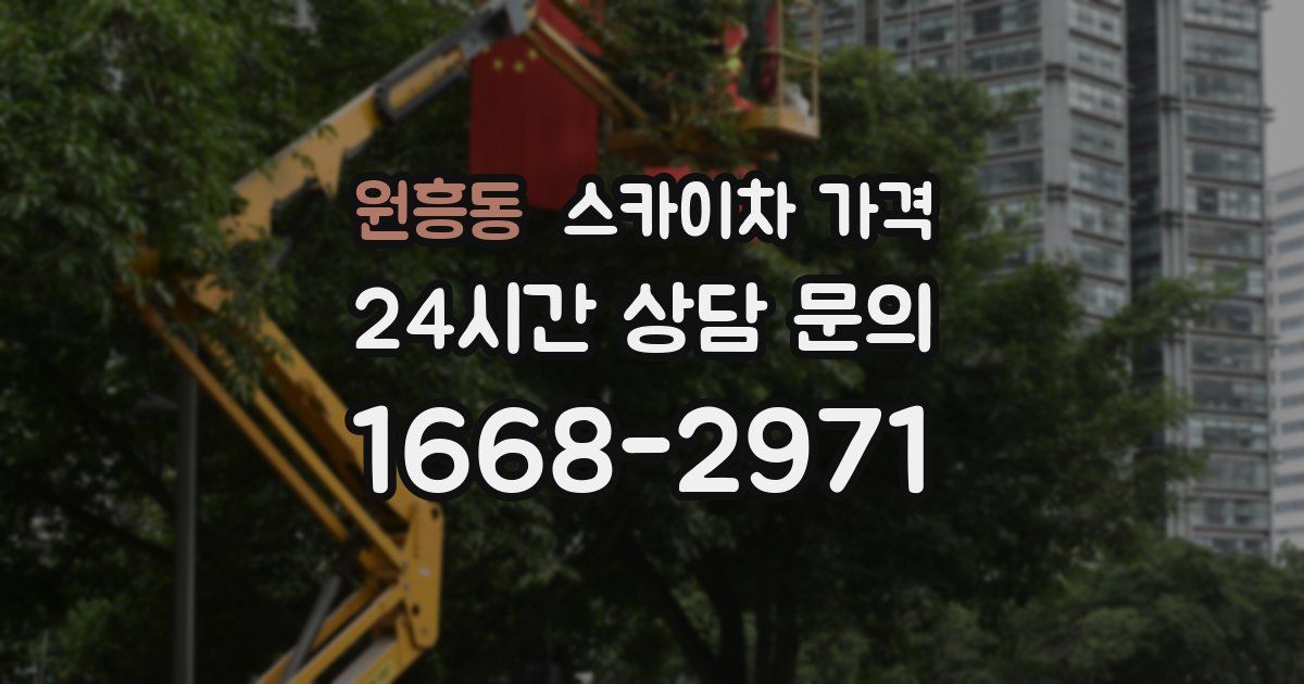 원흥동 스카이차 가격