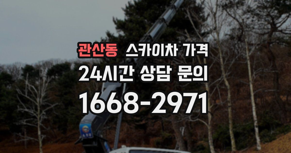 관산동 스카이차 가격