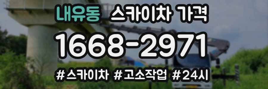 내유동 스카이차 가격