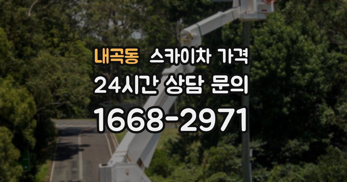 내곡동 스카이차 가격