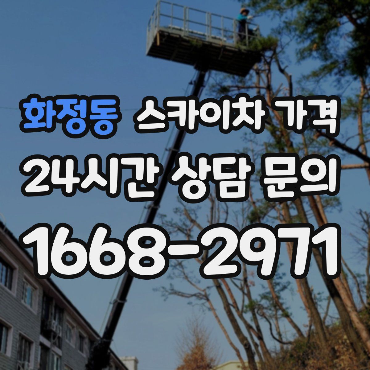 화정동 스카이차 가격