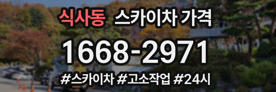 식사동 스카이차 가격