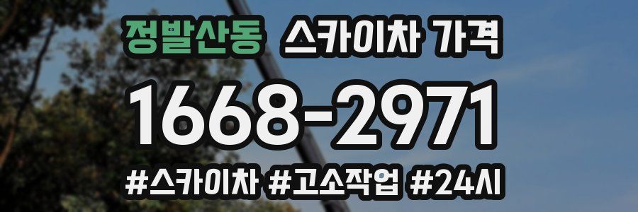 정발산동 스카이차 가격