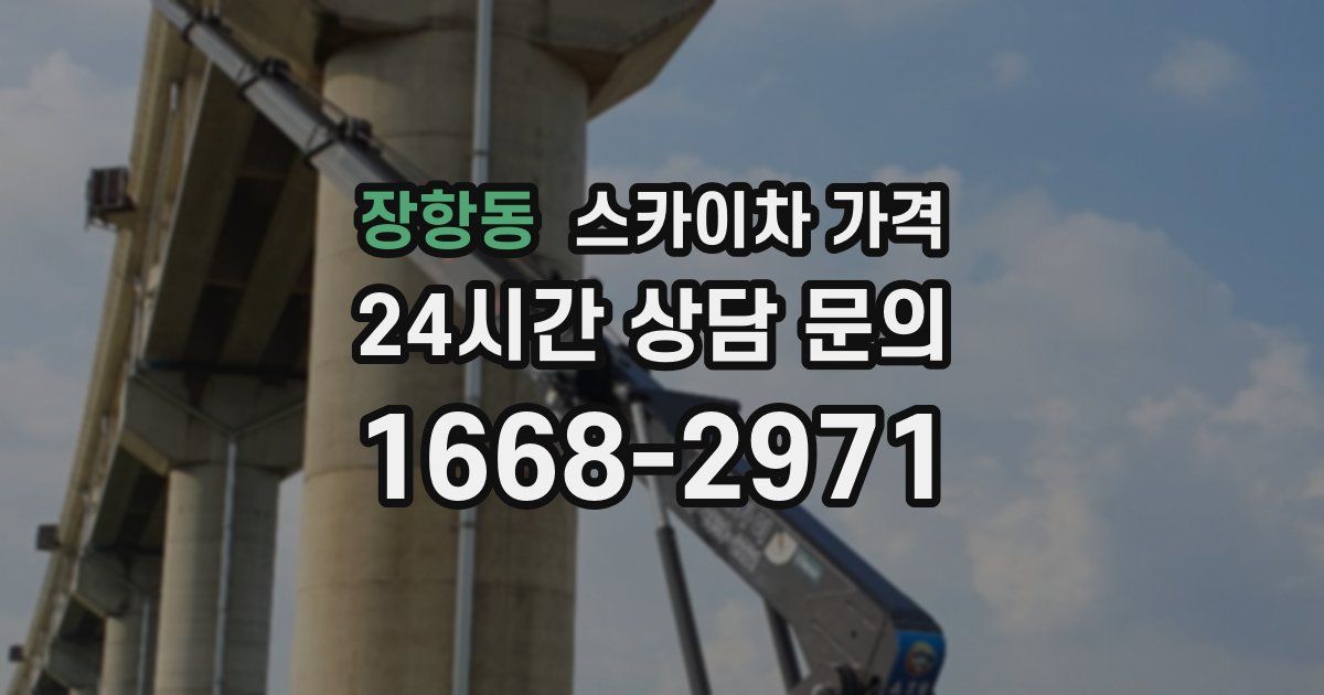 장항동 스카이차 가격