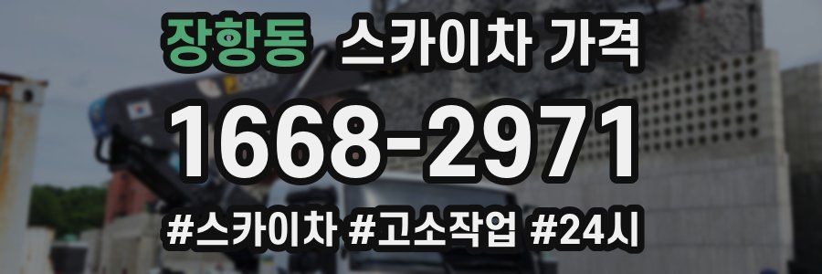 장항동 스카이차 가격