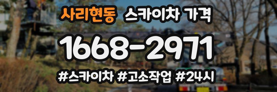 사리현동 스카이차 가격