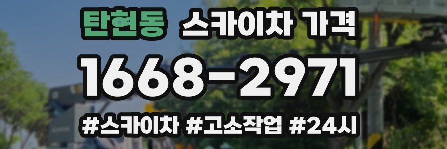 탄현동 스카이차 가격