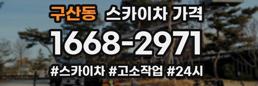 구산동 스카이차 가격
