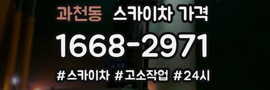 과천동 스카이차 가격