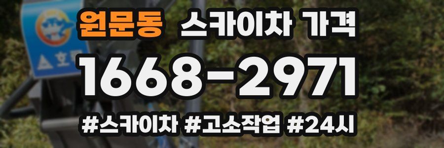 원문동 스카이차 가격