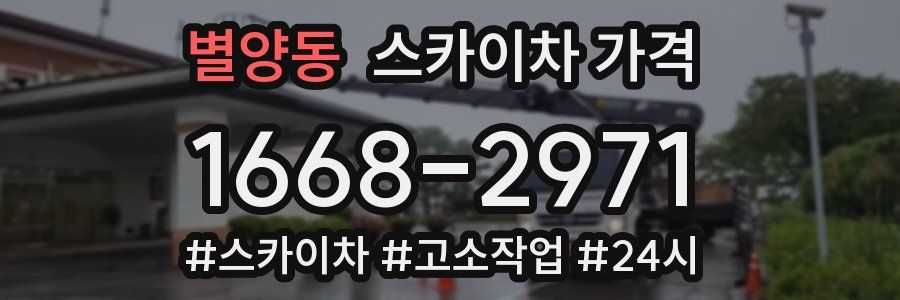 별양동 스카이차 가격