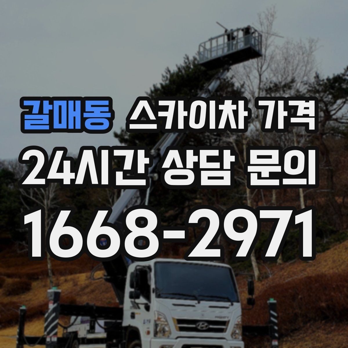 갈매동 스카이차 가격 전면·측면·도로 상황 사진이 필요한 이유