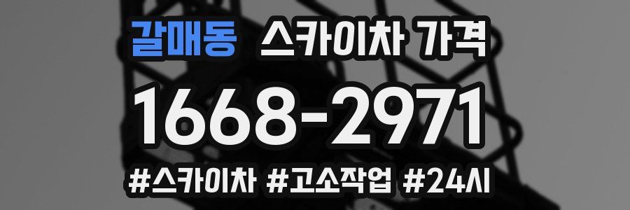 갈매동 스카이차 가격