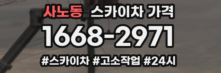 사노동 스카이차 가격