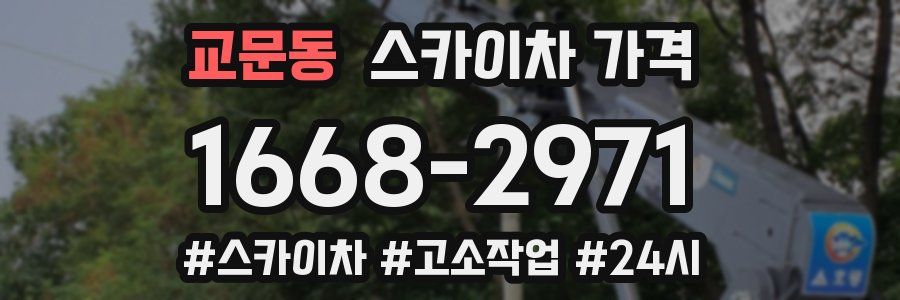 교문동 스카이차 가격