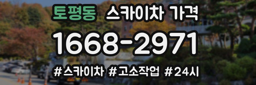 토평동 스카이차 가격