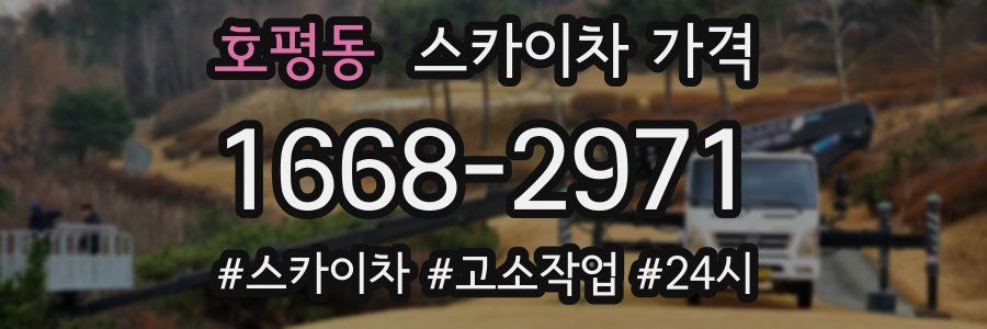 호평동 스카이차 가격