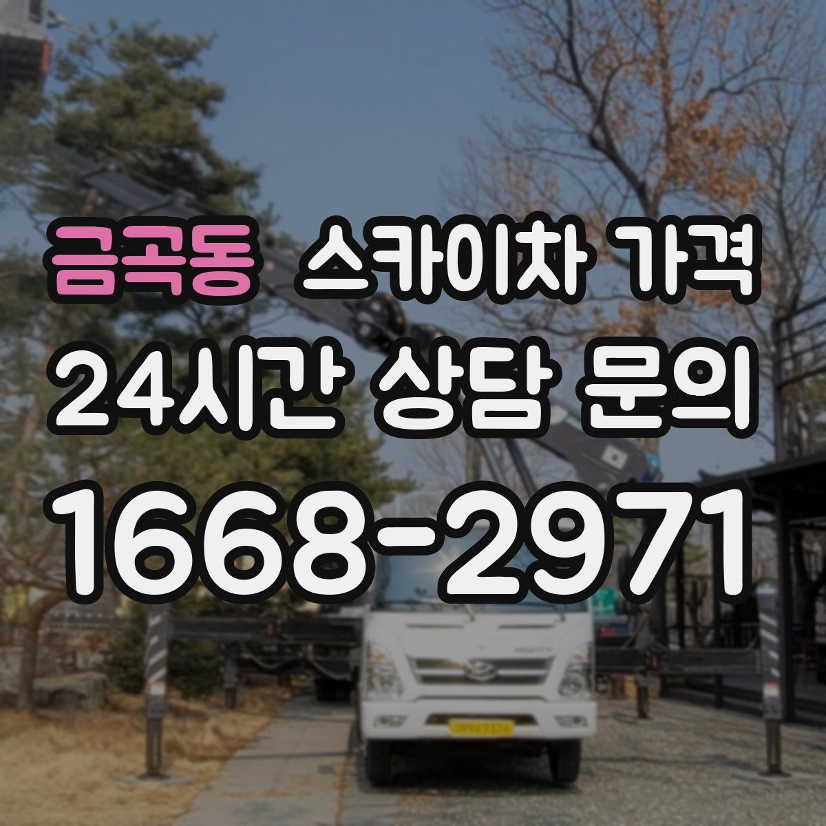 금곡동 스카이차 가격