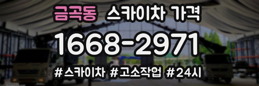 금곡동 스카이차 가격