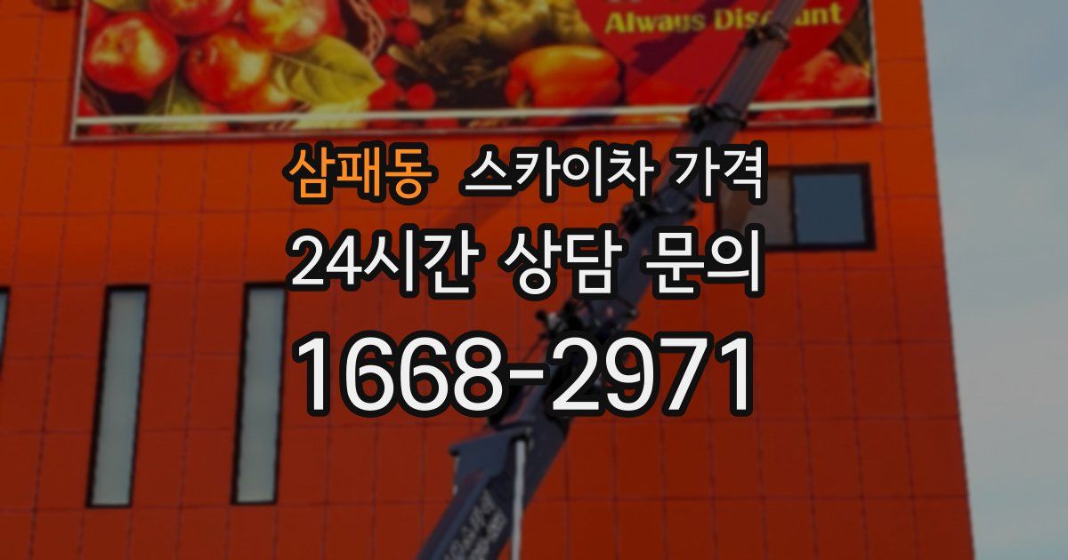 삼패동 스카이차 가격