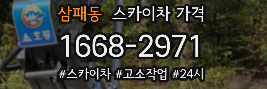 삼패동 스카이차 가격