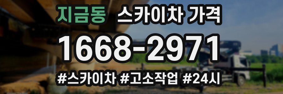 지금동 스카이차 가격